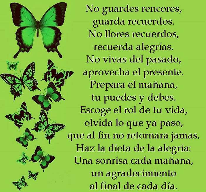 FELIZ MARTES