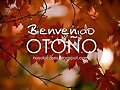 COMIENZA EL OTO&Ntilde;O