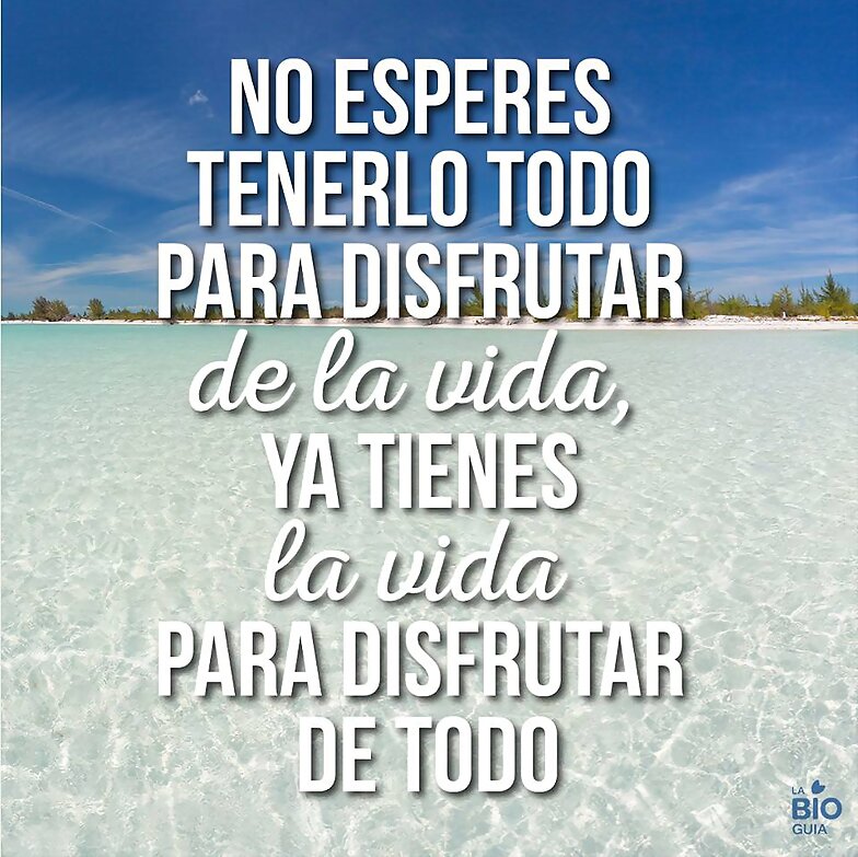 FELIZ MARTES Y... HASTA LA VUELTA DEL BALNEARIO