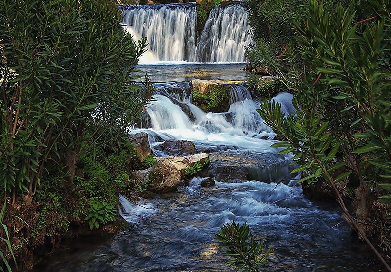 AGUA