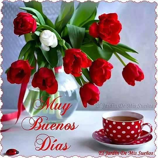 FELIZ DOMINGO