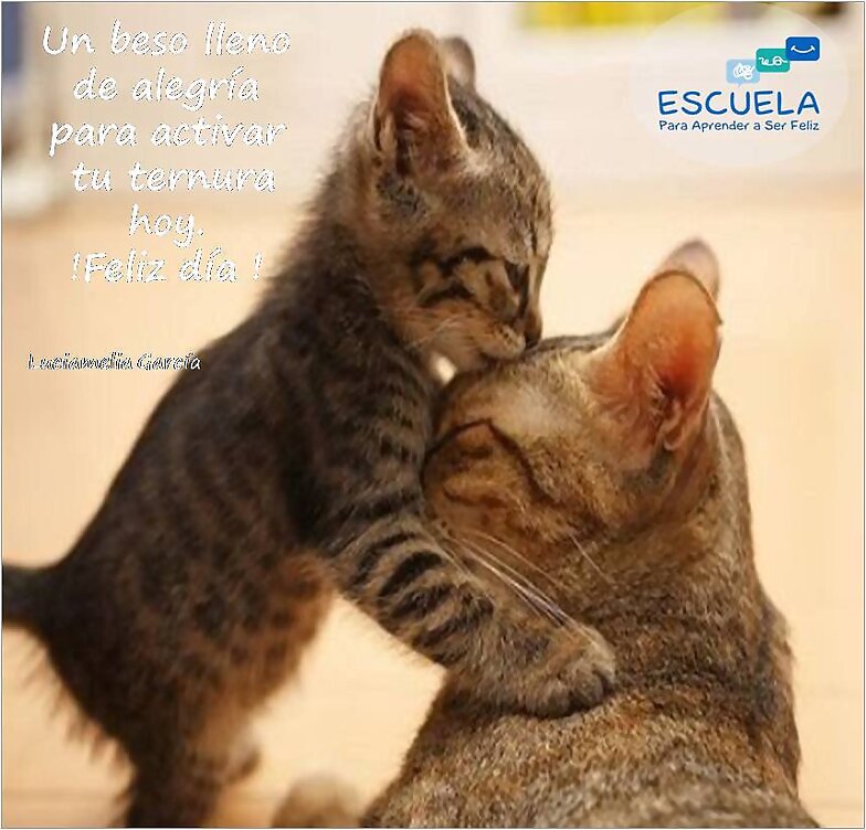 BESOS Y ABRAZOS