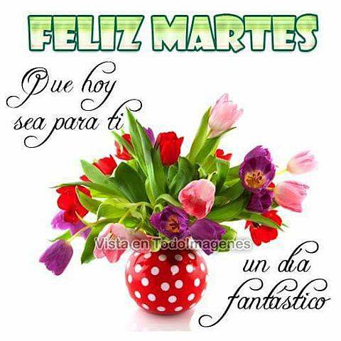 FELIZ MARTES