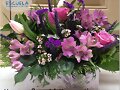 FLORES