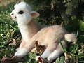 ANIMALICOS BEBES