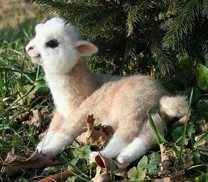 ANIMALICOS BEBES