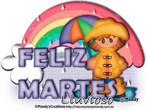 FELIZ MARTES LLUVIOSO