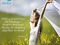 BUENOS DIAS. FELIZ DOMINGO