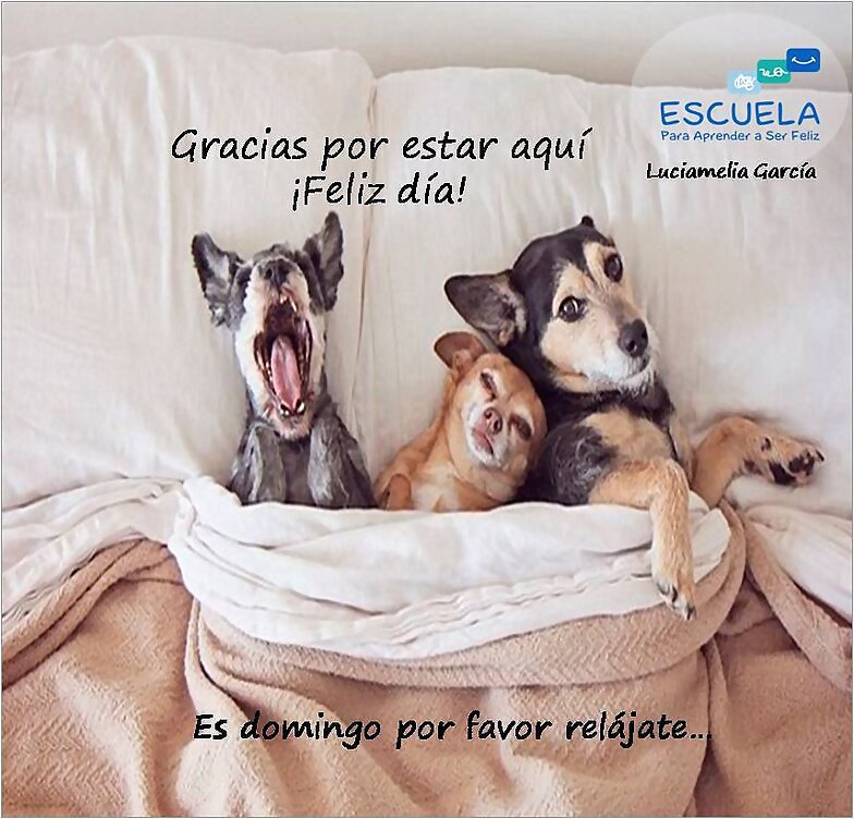 FELIZ DOMINGO