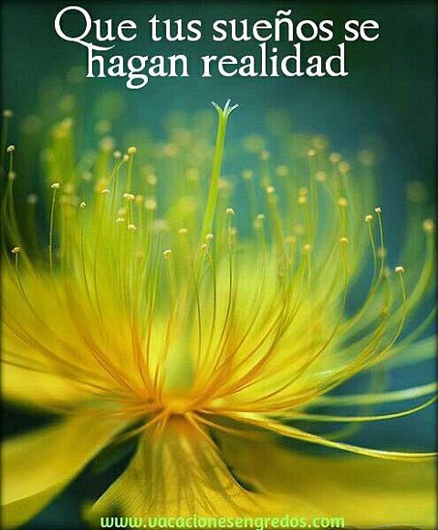 BUENOS DIAS. FELIZ VIERNES