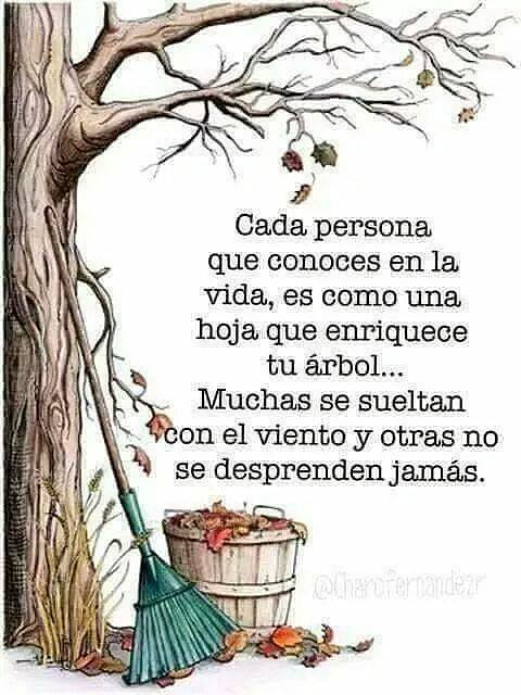 FELIZ DOMINGO