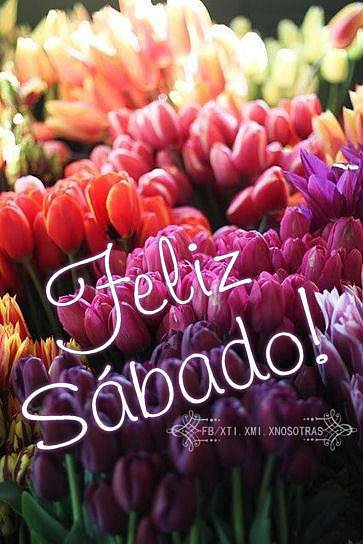BUENOS DIAS. FELIZ SABADO