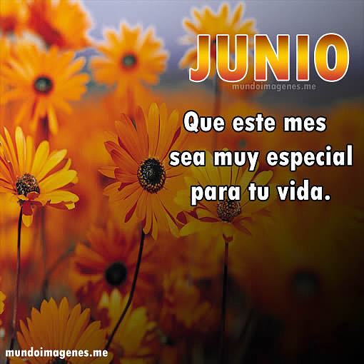 BUENOS DIAS. FELIZ JUEVES