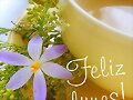 BUEN COMIENZO DE SEMANA