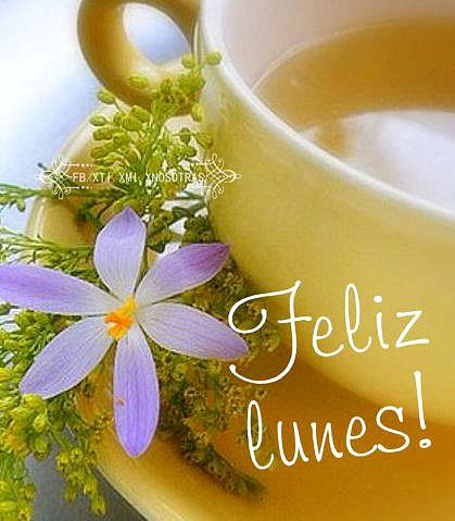 BUEN COMIENZO DE SEMANA