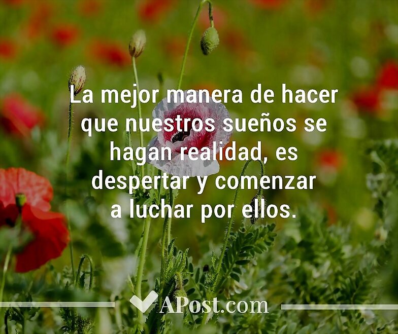 BUENOS DIAS, FELIZ MARTES