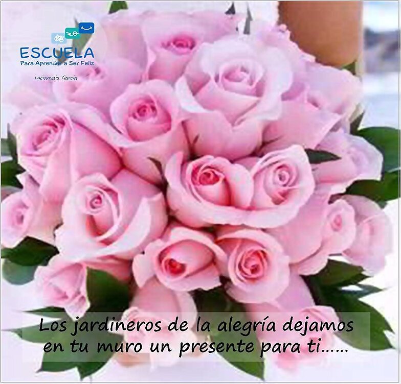 BUENOS DIAS. FELIZ MIERCOLES