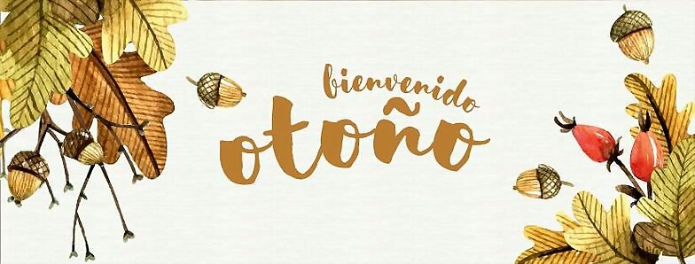 FELIZ FINDE