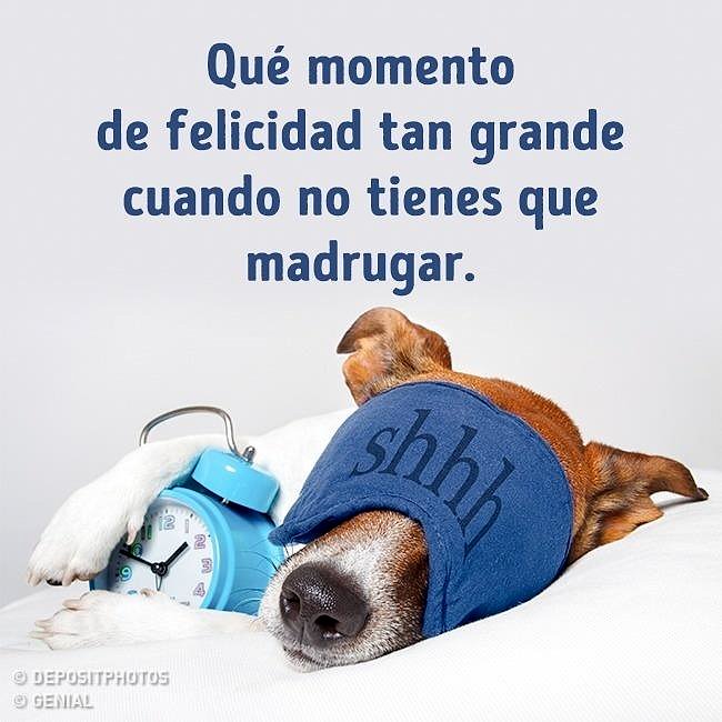 FELIZ FINDE