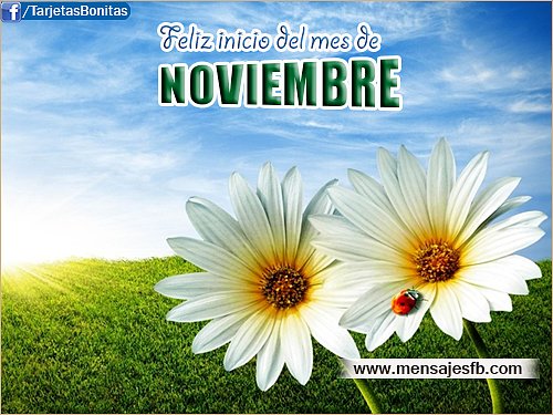 BUENOS DIAS. FELIZ JUEVES