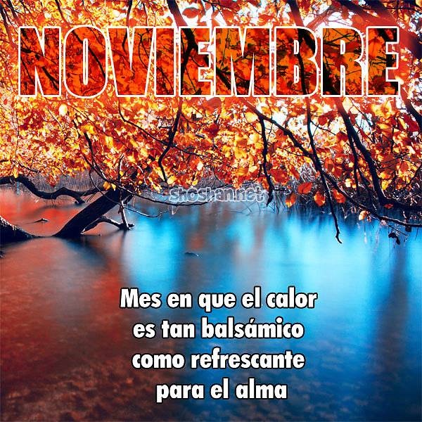 BUENOS DIAS. FELIZ VIERNES