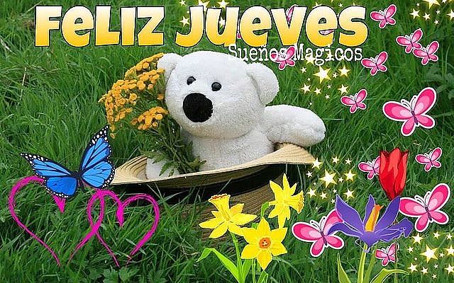 BUENOS DIAS. FELIZ JUEVES