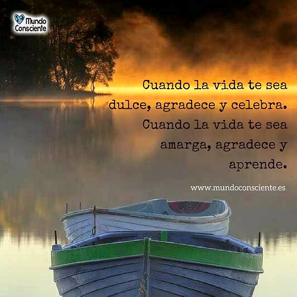 FELIZ MARTES