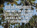 FELIZ MARTES