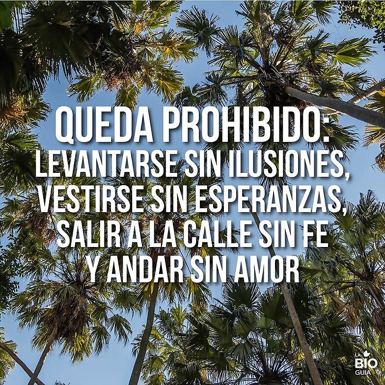 FELIZ MARTES