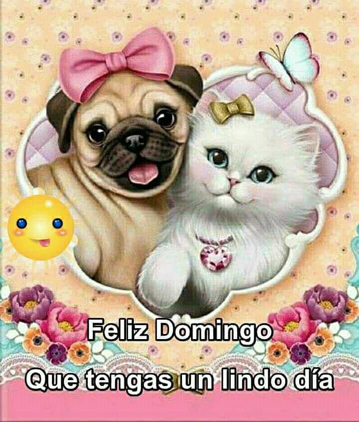 FELIZ DOMINGO