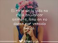 FELIZ MARTES