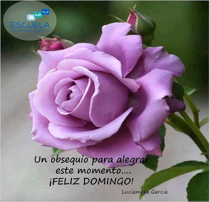 FELIZ DOMINGO
