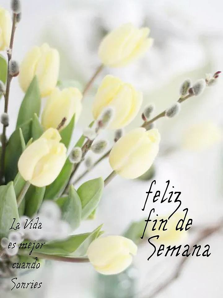 FELIZ SABADO
