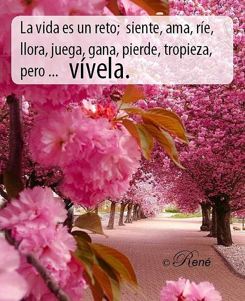 FELIZ DOMINGO