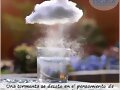 FELIZ MIERCOLES