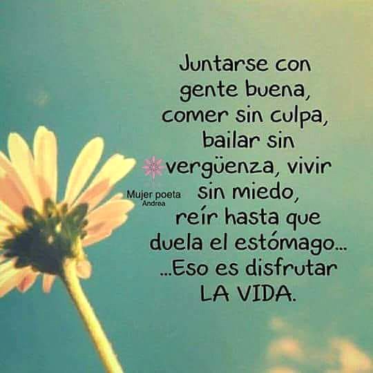FELIZ MARTES