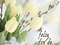 FELIZ FINDE