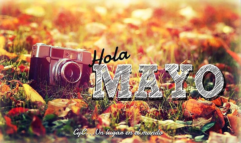 FELIZ MIERCOLES
