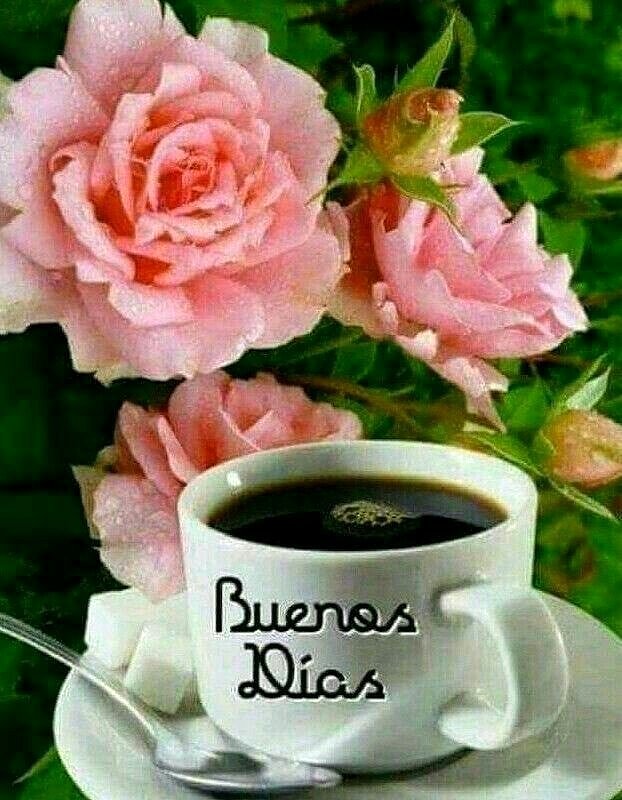 FELIZ MARTES
