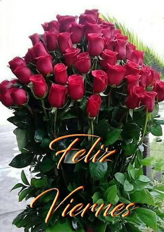 FELIZ VIERNES