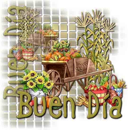FELIZ MIERCOLES