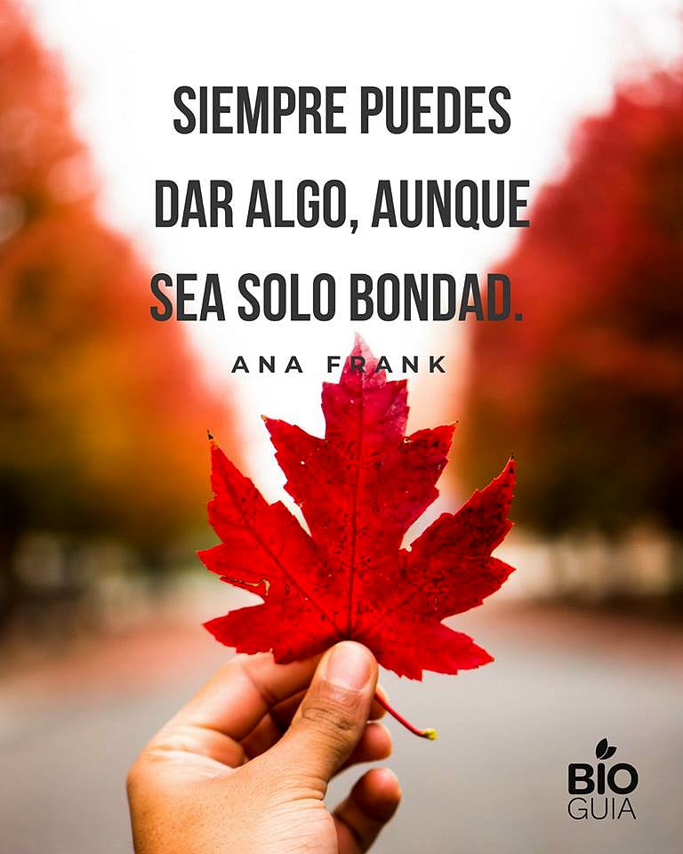 FELIZ MIERCOLES