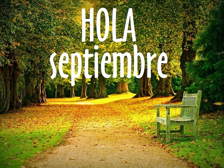 FELIZ DOMINGO