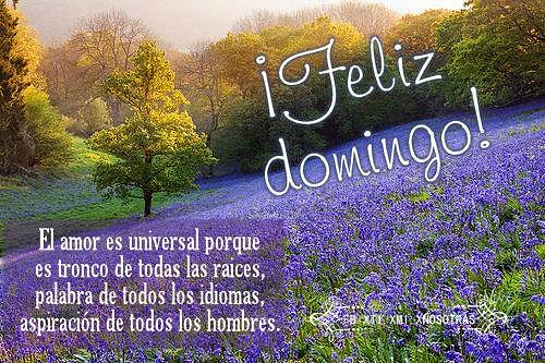 FELIZ DOMINGO