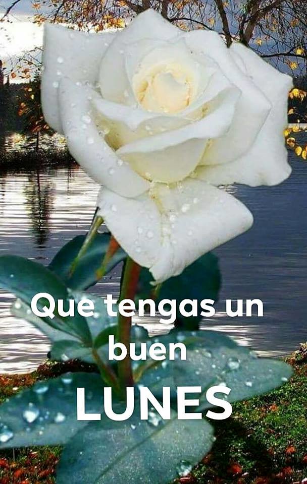 FELIZ LUNES