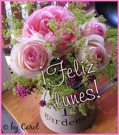 FELIZ LUNES