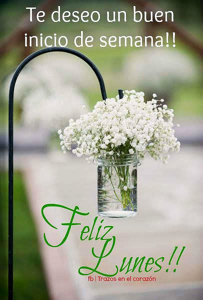 FELIZ INICIO DE SEMANA