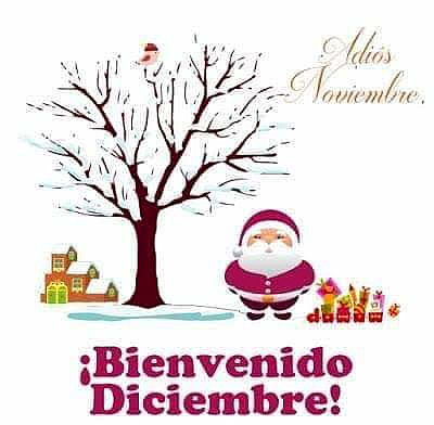 FELIZ DOMINGO