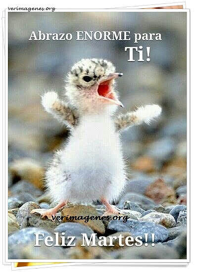 MUY FELIZ MARTES