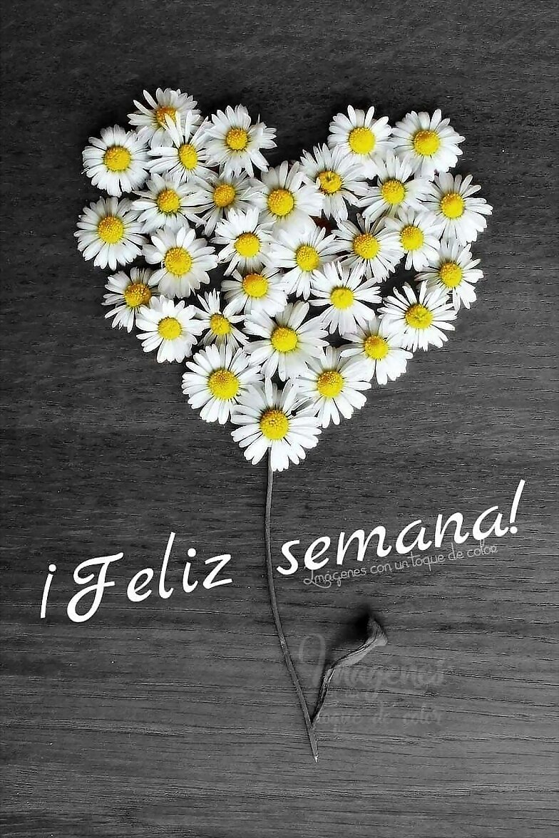 FELIZ LUNES